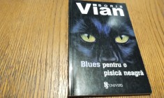 BORIS VIAN - Blues pentru o Pisica Neagra [ nuvele ]