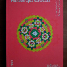 Irina Holdevici - Psihoterapia eficienta