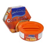 Odorizant auto gel Cool Fresh Orange
