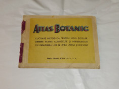 ATLAS BOTANIC Ed.veche. foto