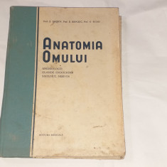 Z.IAGNOV\ E.REPCIUC-ANATOMIA OMULUI Angeiologie Glande Endocrine Sistemul Nervos