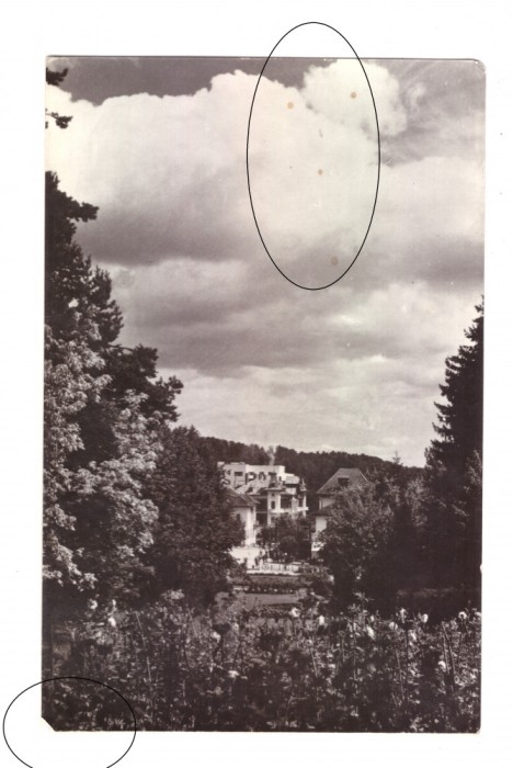 CP Govora - Vedere din parc, RPR, circulata 1960, stare buna