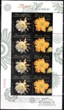 MEXIC 2008, Flora, MNH, serie neuzata