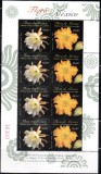 MEXIC 2008, Flora, MNH, serie neuzata, Nestampilat