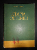Petre V. Cotet - Campia Olteniei. Studiu Olteniei