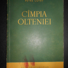 Petre V. Cotet - Campia Olteniei. Studiu Olteniei