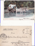 Romania - tipuri, port popular-clasica