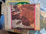 Doamna Bovary vintage