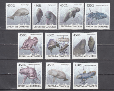 M2 TS1 12 - Timbre foarte vechi - Comore - animale marine foto