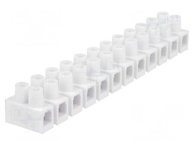 Regletă Conexiuni Terminal cu Șurub Albă 6mm2 400V 41A