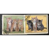 (STR3) Timbre serii Straine Fauna Pisici