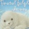 Tinutul fulgilor de nea / Where snowflakes fall - versiune in limba engleza