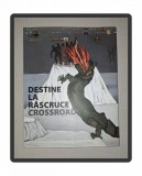 Destine la Rascruce Roxana Theodorescu - Istorie, Editura Muzeului National de Arta, 2010