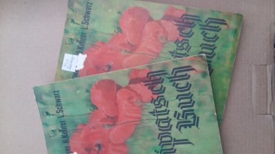 (C490) PIPATSCH BUCH (LG. GERMANA) - IN GRAI SVABESC foto