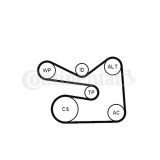 Continental Ctam Set curea transmisie cu caneluri