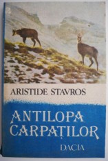 Antilopa Carpatilor ? Aristide Stavros foto