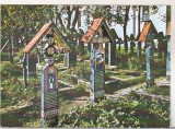 Bnk cp Sapanta ( jud Maramures ) - Cimitirul vesel - necirculata - marca fixa, Printata