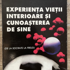 EXPERIENTA VIETII INTERIOARE SI CUNOASTEREA DE SINE, CONSTANTIN ENACHESCU, 1997