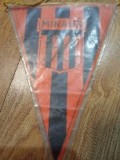 Fanion Fotbal Minaur