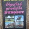 Chipurile si privelistile Europei ( vol.1) - Petru Comarnescu