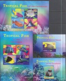 Timbre cu pești tropicali din St. Kitts