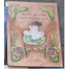 Acolo doarme soricelul vrajitor - Benno Pludra