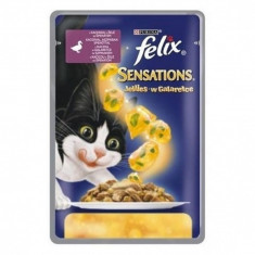 Felix Sensations - rata si spanac in gelatina, 100 g foto