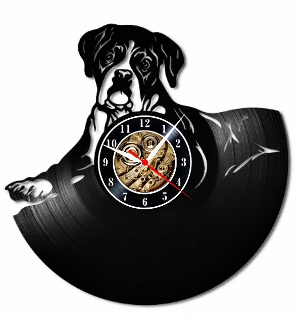 BOXER-ceas de perete