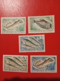 CONGO, PEȘTI - SERIE MNH