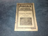 M. GATAN - Cresterea Porcilor - Carte Veche, Bibliofilie - Agricultura