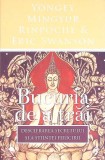 BUCURIA DE A TRAI. DESCIFRAREA SECRETULUI SI A STIINTEI FERICIRII-YONGEY MINGYUR RINPOCHE, ERIC SWANSON-275591