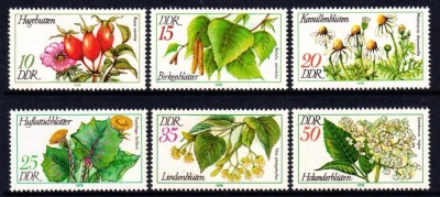 DDR 1978 - Plante medicinale, flori, serie neuzata foto