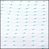 Plasa Anti-Pasari 2X10M