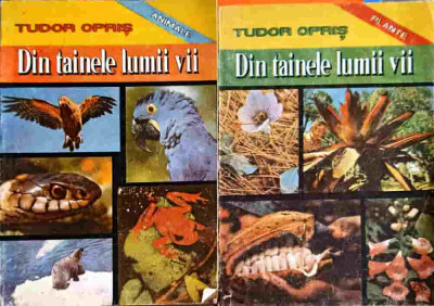 DIN TAINELE LUMII VII VOL.1-2 PLANTE, ANIMALE-TUDOR OPRIS foto