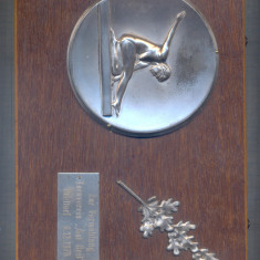 03 PLACHETA SPORTIVA - GIMNASTICA - ZUR VERMAHLUNG TURNVEREIN ,,GUT HEIL" 1970