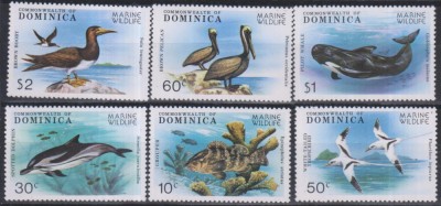 Timbre cu faună marină din Dominica foto