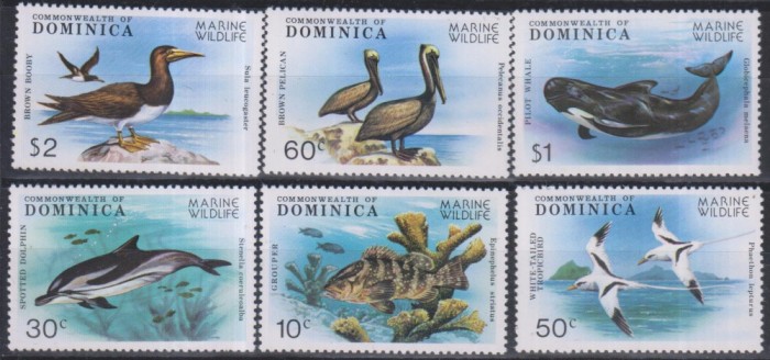 Timbre cu faună marină din Dominica