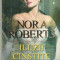 NORA ROBERTS - ILUZII CINSTITE