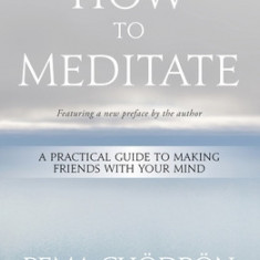How to Meditate: A Practical Guide to Making Friends with Your Mind