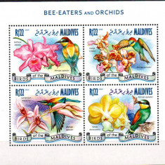 MALDIVE 2014, Flora, Fauna - Pasari, serie neuzata, MNH