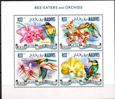 MALDIVE 2014, Flora, Fauna - Pasari, serie neuzata, MNH foto
