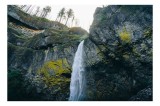 Tablou Canvas, "Cascada &icirc;n pădurea &icirc;naltă de munte", Cascadă, St&acirc;nci, Mușchi, Pădure, Lumină, Cădere, Natură, &Icirc;nalt, Verde, Pitoresc, 39 x 26 cm, CMCL