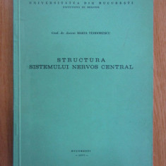 Maria Teodorescu - Structura sistemului nervos central