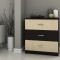 Comoda 3 Sertare, Wenge + Mesteacan