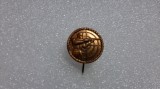 insigna Tir