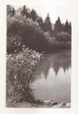 RF70 -Carte Postala- Savarsin, in parcul Sanatoriului, circulata 1965