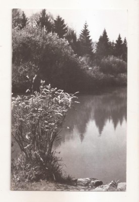 RF70 -Carte Postala- Savarsin, in parcul Sanatoriului, circulata 1965 foto