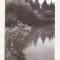 RF70 -Carte Postala- Savarsin, in parcul Sanatoriului, circulata 1965