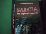 SALCIA - UN LAGAR AL MORTII - ALEXANDRU MIHALCEA, EX PONTO 2015, 606 PAG, CU DEDICAȚIE