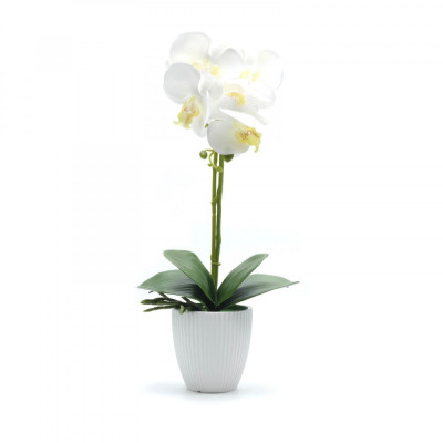 Orhidee artificiala siliconata cu aspect 100% natural in bol de ceramica, 50 cm, Alb foto